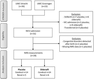 Prenatal Use of Sildenafil in Fetal Growth Restriction and Its Effect on Neonatal Tissue Oxygenation—A Retrospective Analysis of Hemodynamic Data From Participants of the Dutch STRIDER Trial